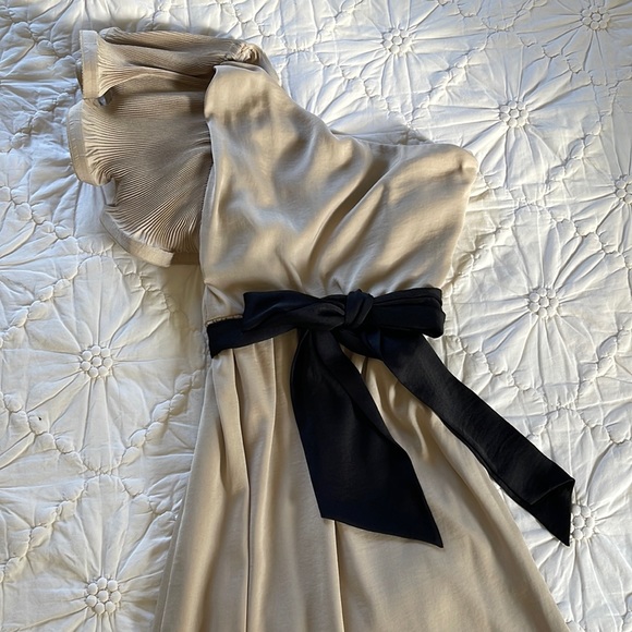 BCBG Formal Champagne Full Length Event Wedding Occasion Dress Size 0 - Picture 1 of 14